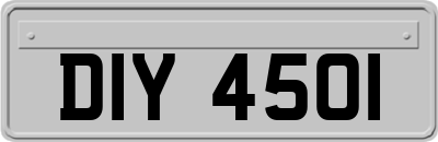 DIY4501