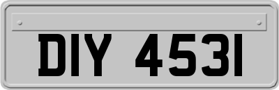 DIY4531