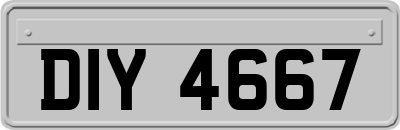 DIY4667