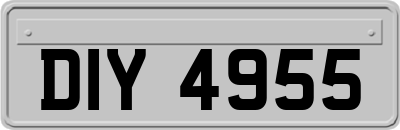 DIY4955