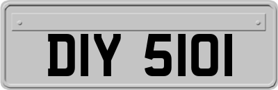 DIY5101