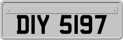 DIY5197