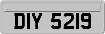 DIY5219