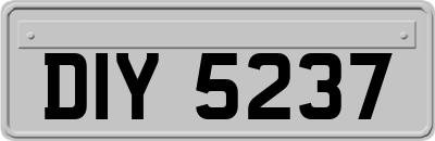 DIY5237