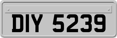 DIY5239