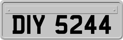 DIY5244