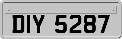 DIY5287