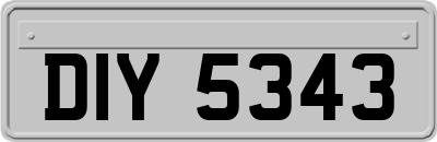 DIY5343