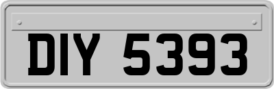 DIY5393