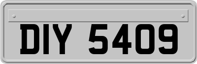 DIY5409