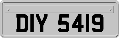 DIY5419