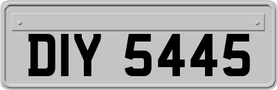 DIY5445