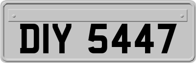 DIY5447
