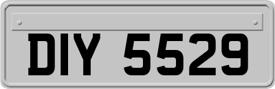 DIY5529