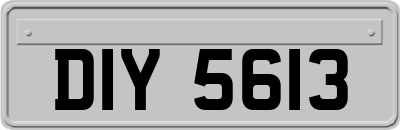 DIY5613