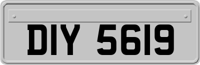 DIY5619