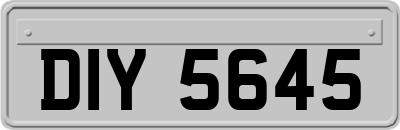 DIY5645