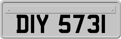 DIY5731