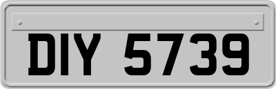 DIY5739