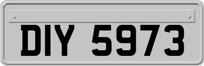 DIY5973