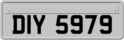 DIY5979