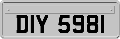 DIY5981