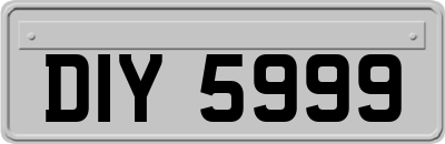 DIY5999
