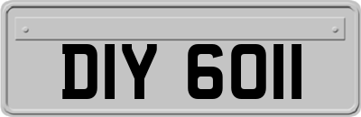DIY6011