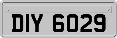 DIY6029