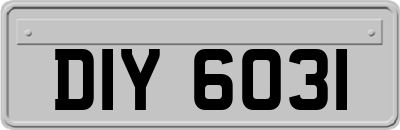 DIY6031