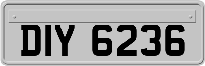 DIY6236