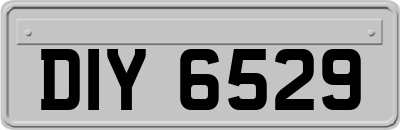 DIY6529