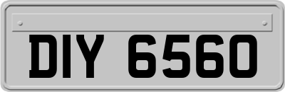 DIY6560