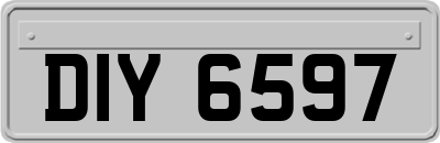 DIY6597