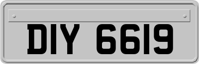 DIY6619