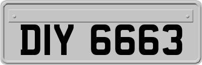 DIY6663