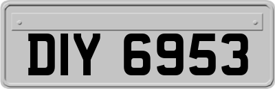 DIY6953