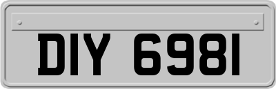 DIY6981