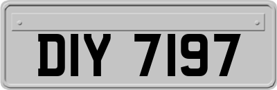 DIY7197