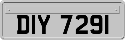 DIY7291