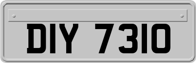 DIY7310