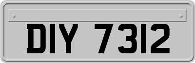 DIY7312