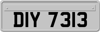 DIY7313