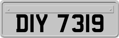 DIY7319