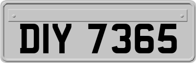 DIY7365