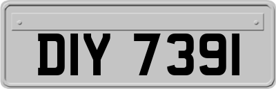 DIY7391