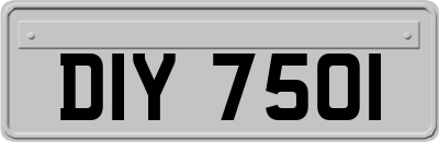DIY7501