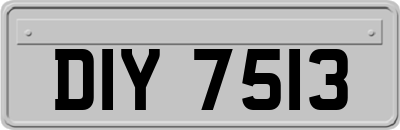 DIY7513