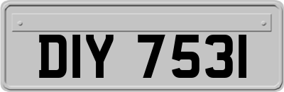 DIY7531