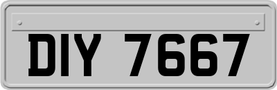 DIY7667